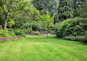 Optimiser l'expérience du jardin à Vescemont